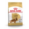 Royal Canin Dry Dog Food Specifically For Adult Cocker - All Sizes -Pet Supplies n2f4s4q4pif