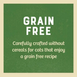 James Wellbeloved Senior Cat Grain Free Chicken In Jelly Pouches 85g 12 James Wellbeloved Senior Cat Grain Free Chicken In Jelly Pouches 85g -Pet Supplies nd5zzn1gxdx