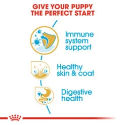 Royal Canin Dry Dog Food Specifically For Puppy Shih Tzu 1.5kg 17 Royal Canin Dry Dog Food Specifically For Puppy Shih Tzu 1.5kg -Pet Supplies ngpgghohjib