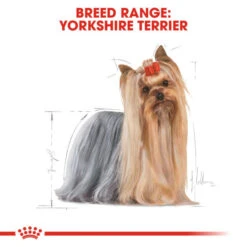 Royal Canin Dry Dog Food Specifically For Adult Yorkshire Terrier 1.5kg -Pet Supplies ni22qlk5axg