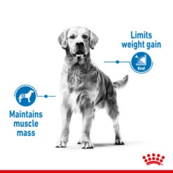 Royal Canin Dry Dog Food For Medium Light Care Adult Dogs - All Sizes -Pet Supplies nzjgya4bl41