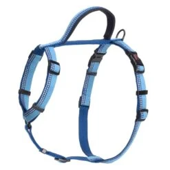 Halti Walking Harness - Various Colours -Pet Supplies o5db5gdydwr