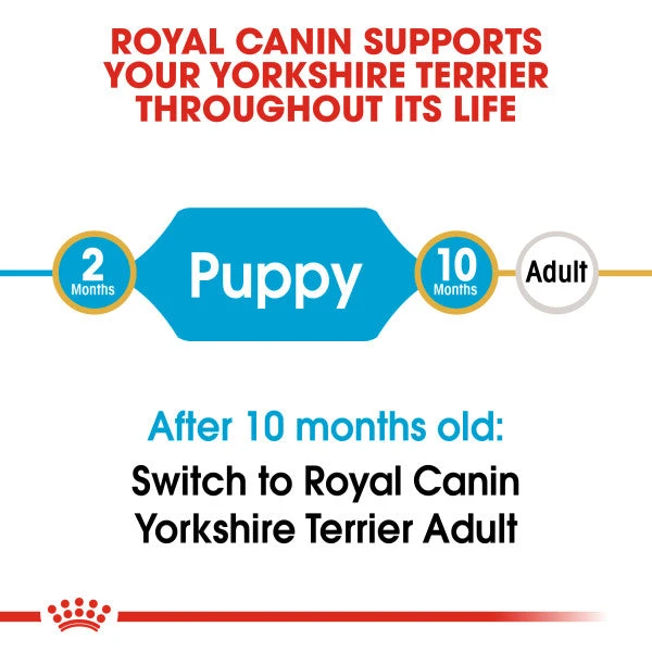 Royal Canin Dry Dog Food Specifically For Puppy Yorkshire Terrier 1.5kg 11 Royal Canin Dry Dog Food Specifically For Puppy Yorkshire Terrier 1.5kg - Image 9