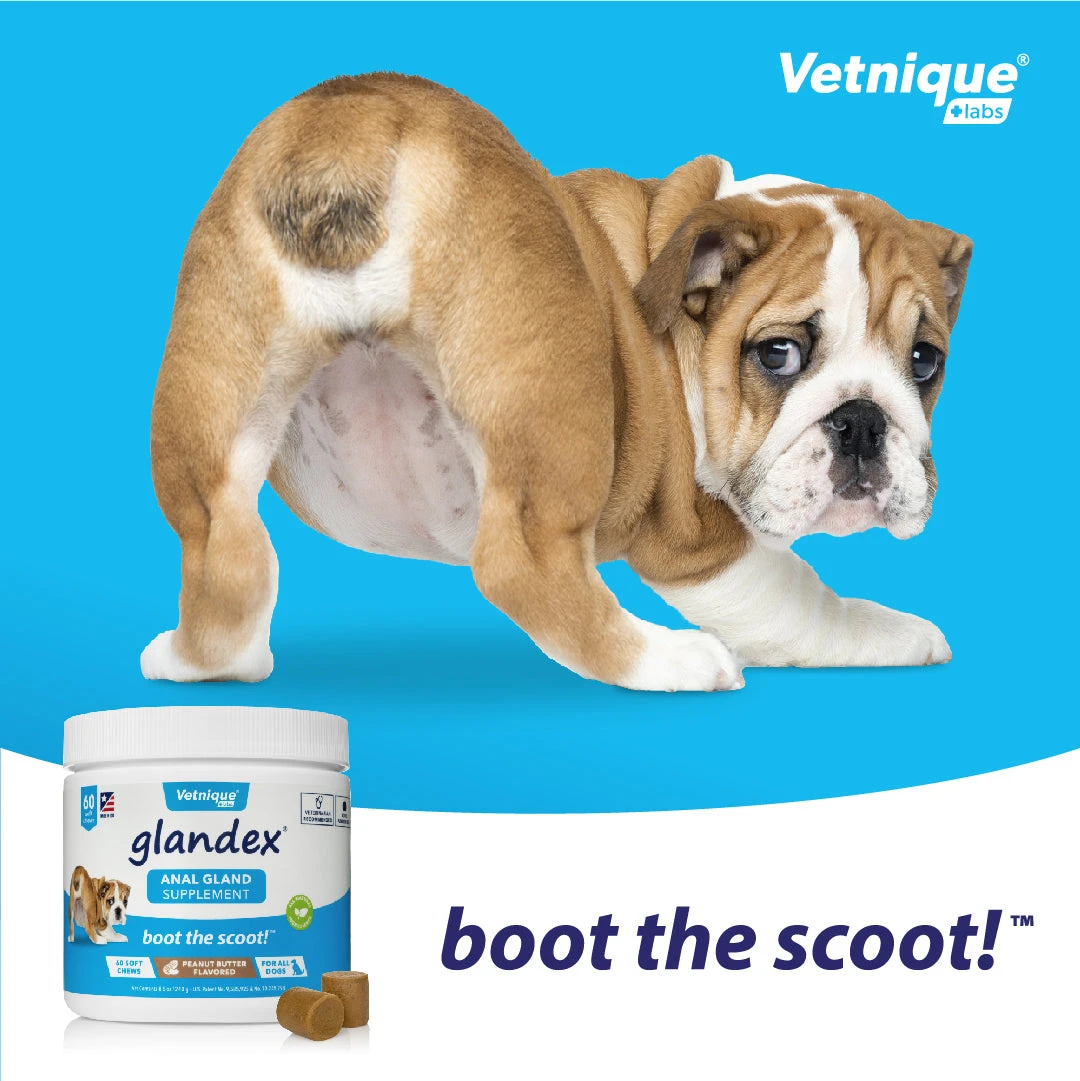 Glandex Soft Peanut Butter Chews For Anal Gland Problems In Cats & Dogs 5 Glandex Soft Peanut Butter Chews For Anal Gland Problems In Cats & Dogs - Image 4