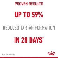 Royal Canin Dental Care Adult Dry Cat Food For Cats- Various Sizes -Pet Supplies ooo4csnrmfb