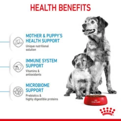 Royal Canin Dry Dog Food For Medium Starter Mother & Babydog - All Sizes -Pet Supplies op1cuwhjibz