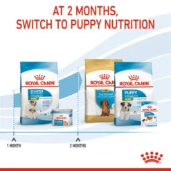Royal Canin Dry Dog Food For Mini Starter Mother & Babydog - All Sizes -Pet Supplies otlsaafxu2o