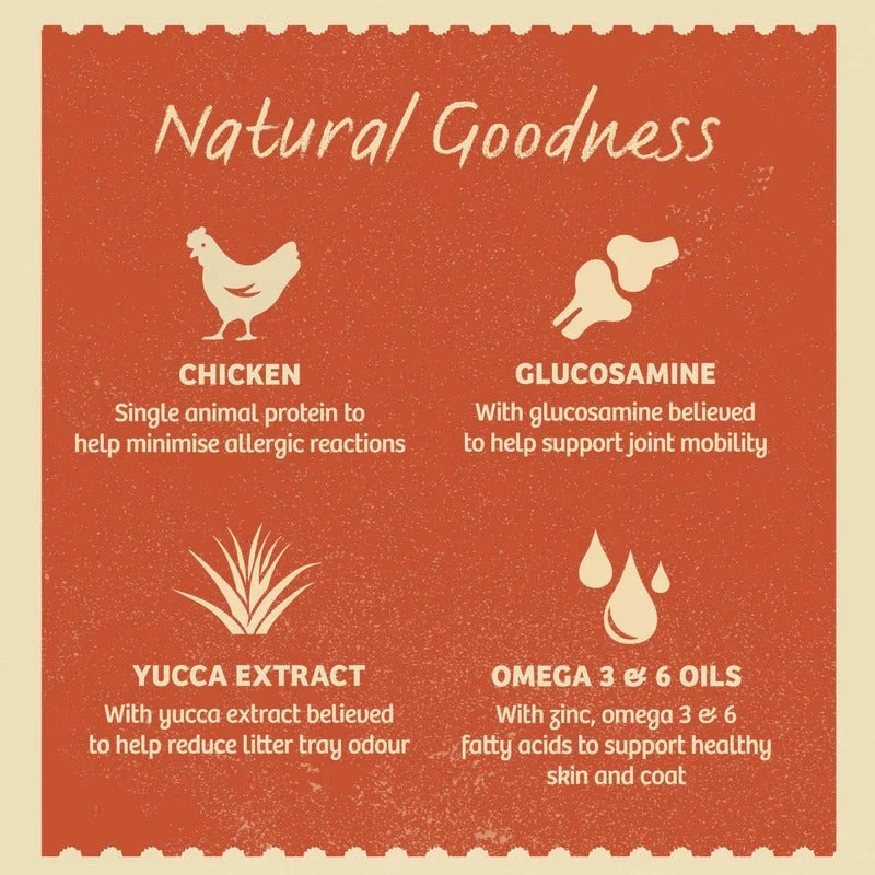 James Wellbeloved Senior Cat Grain Free Chicken In Jelly Pouches 85g 8 James Wellbeloved Senior Cat Grain Free Chicken In Jelly Pouches 85g - Image 6