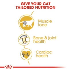 Royal Canin British Shorthair Adult Dry Cat Food For Cats -Pet Supplies ouxx4avy3mv