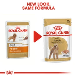 Royal Canin Wet Dog Food Specifically For Poodle Adult 12x85g -Pet Supplies oxba3z5t4yd