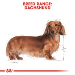 Royal Canin Dry Dog Food Specifically For Adult Dachshund - All Sizes 17 Royal Canin Dry Dog Food Specifically For Adult Dachshund - All Sizes -Pet Supplies oxxiz0ombw3