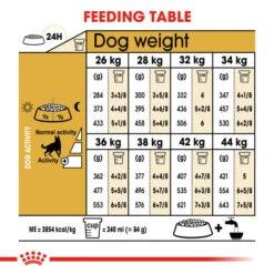 Royal Canin Dry Dog Food Specifically For Adult German Shepherds - All Sizes -Pet Supplies oy1mdn22aom