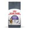 Royal Canin Dry Cat Food Appetite Control Care 2kg 1 Royal Canin Dry Cat Food Appetite Control Care 2kg -Pet Supplies pdj0j05r4kx