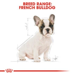 Royal Canin Dry Dog Food Specifically For Puppy French Bulldog - All Sizes 15 Royal Canin Dry Dog Food Specifically For Puppy French Bulldog - All Sizes -Pet Supplies pnwklkrd5jw