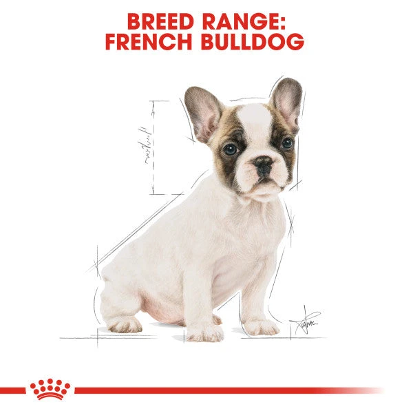 Royal Canin Dry Dog Food Specifically For Puppy French Bulldog - All Sizes 7 Royal Canin Dry Dog Food Specifically For Puppy French Bulldog - All Sizes - Image 5