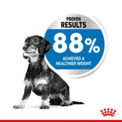 Royal Canin Nutritional Wet Dog Food For Mini Light Weight Care 12 X 85g 10 Royal Canin Nutritional Wet Dog Food For Mini Light Weight Care 12 X 85g -Pet Supplies pyqj0u2z504 544da6cd 2f6c 4f3a 87cf 1bfce2ef0ed7