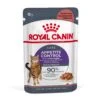 Royal Canin Appetite Control Care In Gravy Adult Wet Cat Food 12 X 85g -Pet Supplies pztorf10sbw