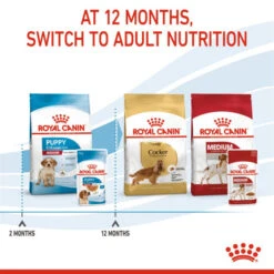 Royal Canin Nutritional Wet Dog Food For Medium Puppy 10x140g 20 Royal Canin Nutritional Wet Dog Food For Medium Puppy 10x140g -Pet Supplies q0lfoeukkpd