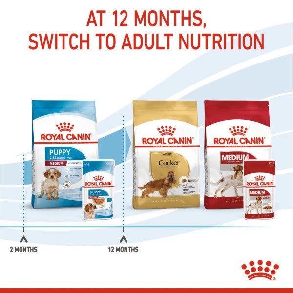 Royal Canin Nutritional Wet Dog Food For Medium Puppy 10x140g 11 Royal Canin Nutritional Wet Dog Food For Medium Puppy 10x140g - Image 9