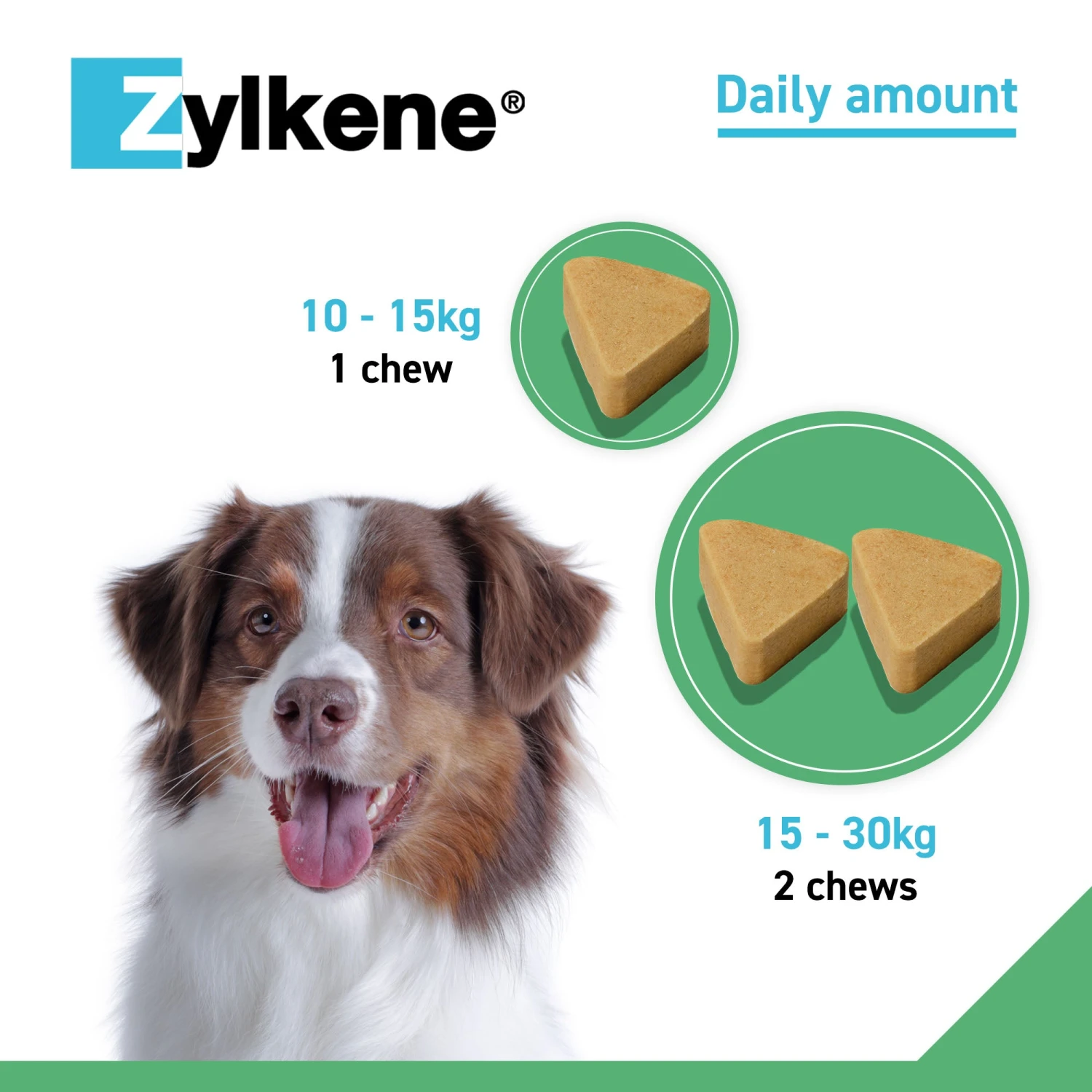 Zylkene Calming Chews For Dogs 6 Zylkene Calming Chews For Dogs - Image 4