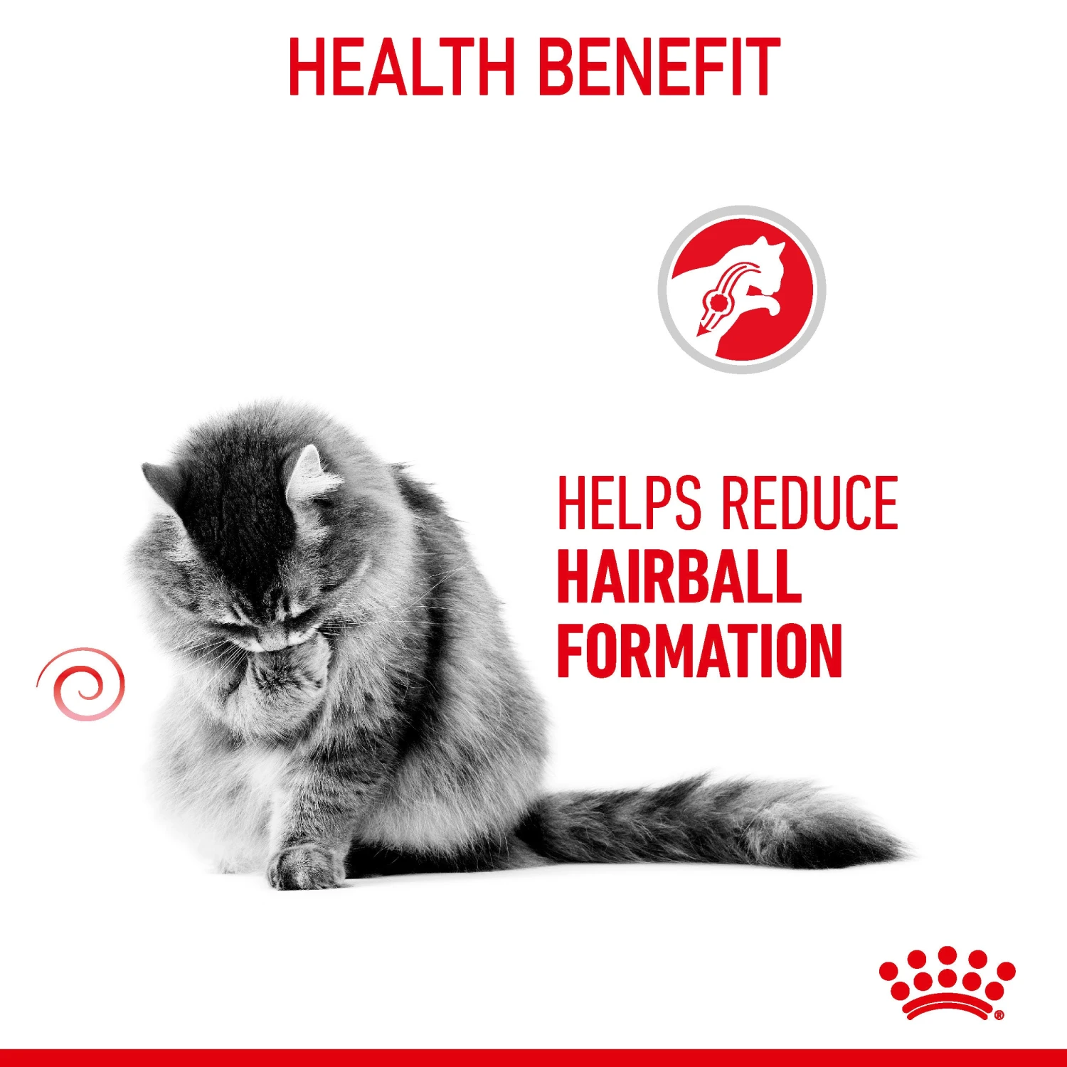 Royal Canin Hairball Care Adult Dry Cat Food For Cats 13 Royal Canin Hairball Care Adult Dry Cat Food For Cats - Image 11