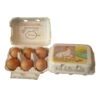 Eton Free Range Egg Box 260 Pack 1 Eton Free Range Egg Box 260 Pack -Pet Supplies qjavrziuzmo