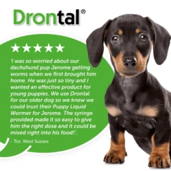 Drontal Puppy Liquid Wormer - All Sizes -Pet Supplies qkgoua44v0k