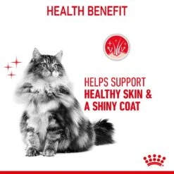 Royal Canin Hair & Skin Care Adult Dry Cat Food For Cats -Pet Supplies qkycml3udhu
