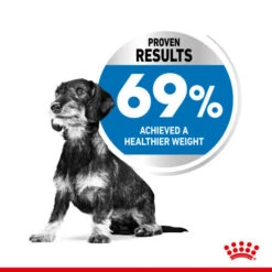 Royal Canin Dry Dog Food CCN Light Weight Care For X-Small Adult Dogs 1.5kg 14 Royal Canin Dry Dog Food CCN Light Weight Care For X-Small Adult Dogs 1.5kg -Pet Supplies qlrc5dmrcbl
