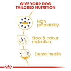 Royal Canin Dry Dog Food Specifically For Adult Chihuahua - All Sizes -Pet Supplies qt25taabpir