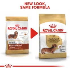 Royal Canin Dry Dog Food Specifically For Adult Dachshund - All Sizes 12 Royal Canin Dry Dog Food Specifically For Adult Dachshund - All Sizes -Pet Supplies raeu2b3lqou