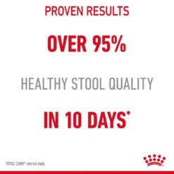 Royal Canin Wet Cat Food Digestive Sensitive Pouch 12 X 85 G -Pet Supplies rfiloympnls
