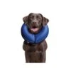 Buster Comfortable Inflatable Collar For Dogs -Pet Supplies rhr30bpqhdt