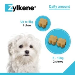 Zylkene Calming Chews For Dogs 16 Zylkene Calming Chews For Dogs -Pet Supplies rsmxghd3yin