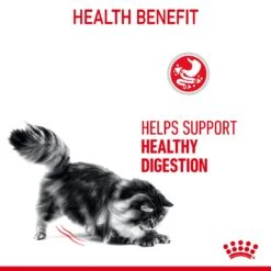 Royal Canin Wet Cat Food Digestive Sensitive Pouch 12 X 85 G -Pet Supplies rvpirsy3xfe