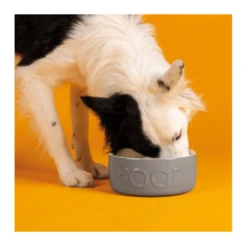 Scruffs Drinking And Food Bowls -Pet Supplies ryuzejyibx3