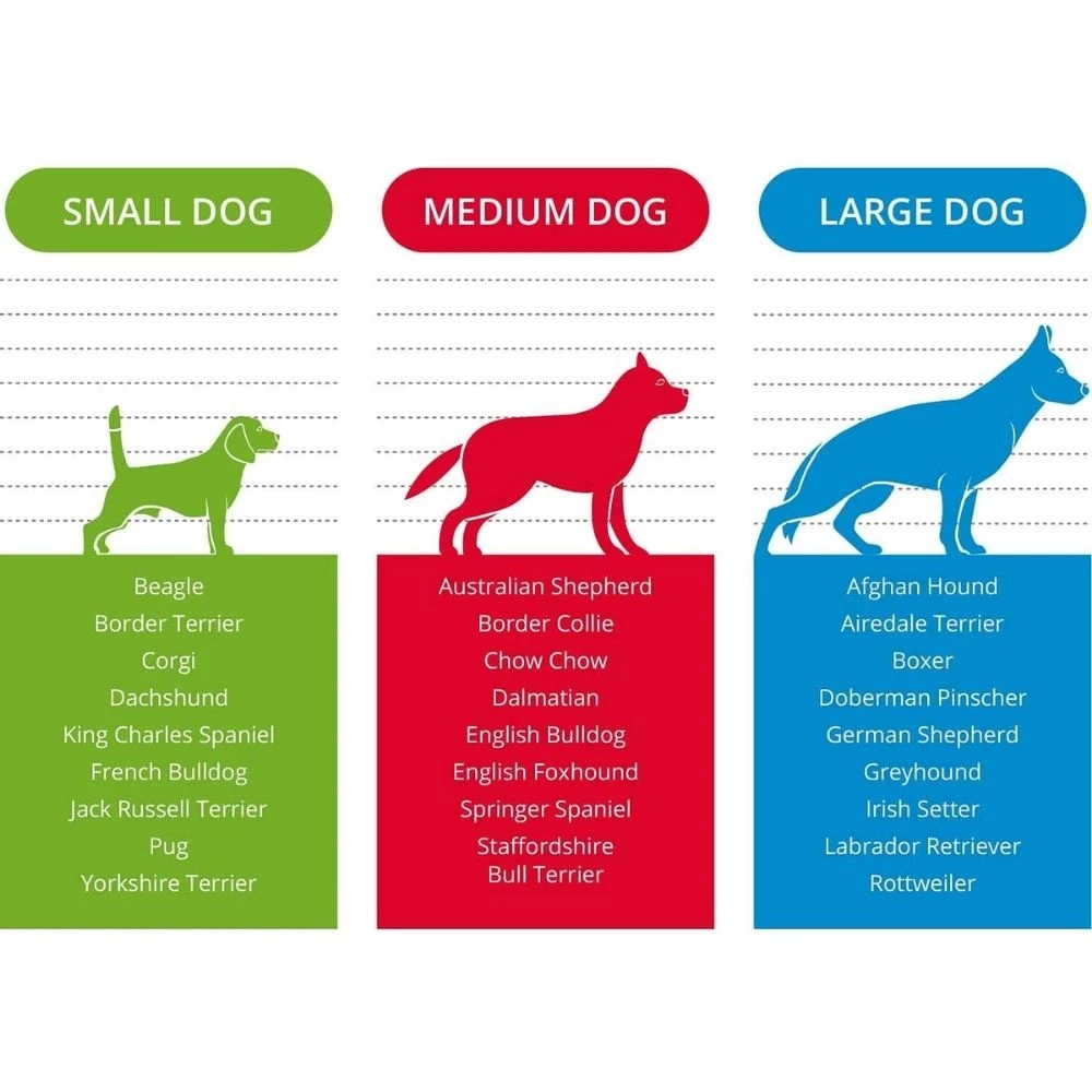 HygieCatch - Urine Sample Collection & Testing Kit - Monitor Your Dog's Health 19 HygieCatch - Urine Sample Collection & Testing Kit - Monitor Your Dog's Health - Image 17