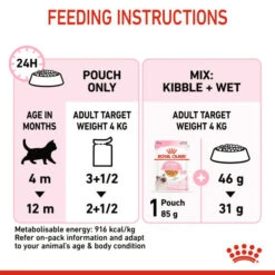 Royal Canin Kitten In Jelly Wet Food For Kitten's 12 X 85g 19 Royal Canin Kitten In Jelly Wet Food For Kitten's 12 X 85g -Pet Supplies simahuwrzph