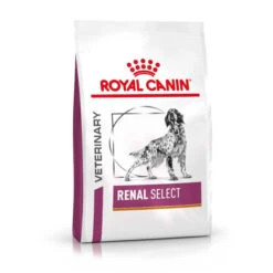 Royal Canin Veterinary Health Nutrition Canine Renal Select- Various Sizes -Pet Supplies sk35vvskyyq