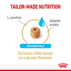 Royal Canin Dry Dog Food Ageing BHN Labrador 5+ 12kg -Pet Supplies slbiwpfye1p