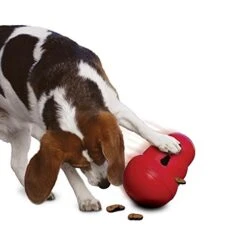 KONG Wobbler - All Sizes -Pet Supplies tc0zqdwilh3