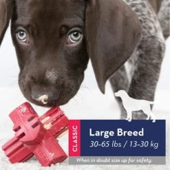 KONG Jump'N Jack -Pet Supplies tdhcq2sgtmz