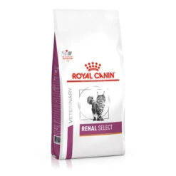 Royal Canin Veterinary Health Nutrition Feline Renal Select Cat Food- Various Sizes -Pet Supplies thmadfd2iaa