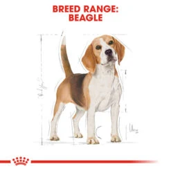 Royal Canin Dry Dog Food Specifically For Adult Beagle - All Sizes 17 Royal Canin Dry Dog Food Specifically For Adult Beagle - All Sizes -Pet Supplies tx4oikzs0rl