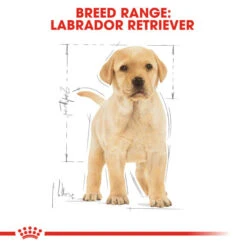 Royal Canin Dry Dog Food Specifically For Puppy Labrador Retriever - All Sizes -Pet Supplies ui4cc1puxrm