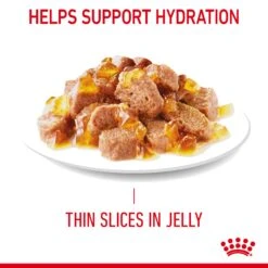 Royal Canin Hair & Skin Care In Jelly Adult Wet Cat Food 12 X 85g -Pet Supplies unvtn4aieoh