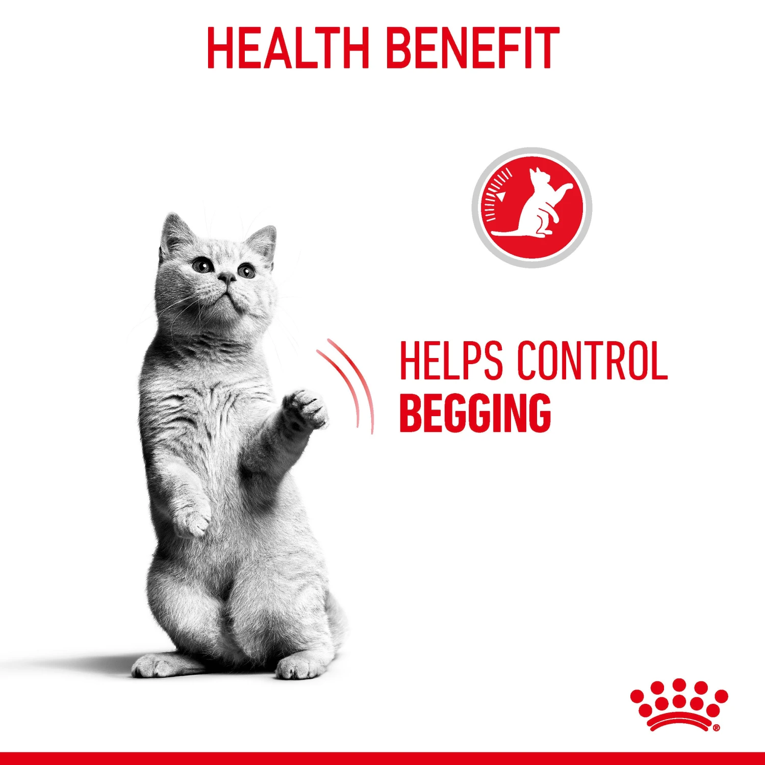 Royal Canin Appetite Control Care In Gravy Adult Wet Cat Food 12 X 85g 13 Royal Canin Appetite Control Care In Gravy Adult Wet Cat Food 12 X 85g - Image 11