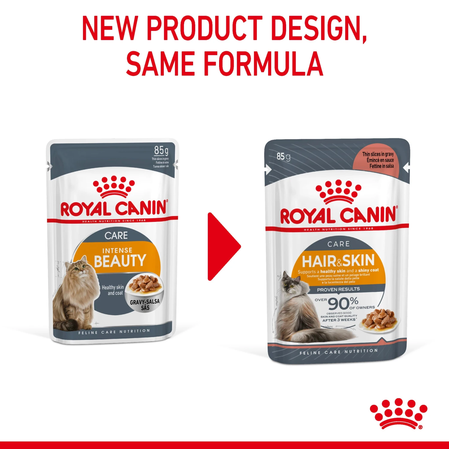 Royal Canin Wet Cat Food Hair & Skin Care In Gravy Pack Of 12 X 85g 6 Royal Canin Wet Cat Food Hair & Skin Care In Gravy Pack Of 12 X 85g - Image 4