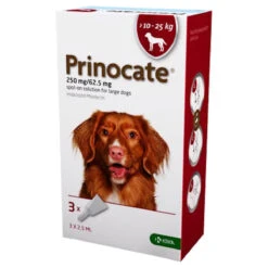 Prinocate Spot-on Solution For Cats And Dogs 3 Pipettes -Pet Supplies v42v4ee50ty