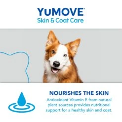 YuMOVE Skin & Coat Care Moulting For Adult Dogs | 500ml -Pet Supplies vqvqybzyz52